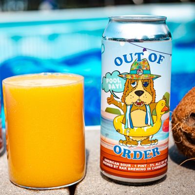 Out of Order: Pool Day!