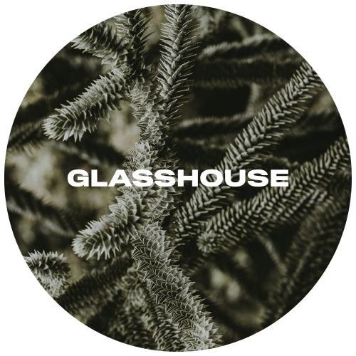 GlassHouse Beer Co Monkey Puzzle Main image